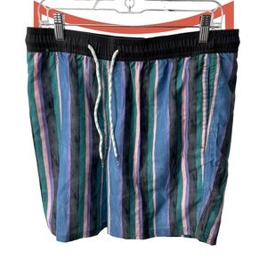 Original Use Multicolor Striped Swim Trunks